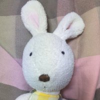 uchiko. (@sarann0301) Twitter profile photo