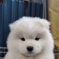 j. (@nimbostrts) 's Twitter Profile Photo j. (@nimbostrts) 's Twitter Profile Photo