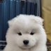 j. (@nimbostrts) Twitter profile photo j. (@nimbostrts) Twitter profile photo
