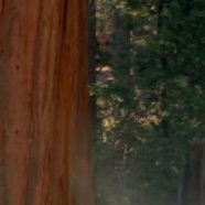 Dee Jefferson (@deejefferson) 's Twitter Profile