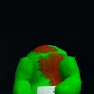 i cant find my head
noo noo dni
stupid white teletubbies who steal my things dni
