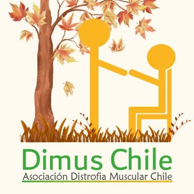 Dimus Chile Profile