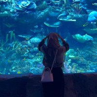 diti (@puzzzing) 's Twitter Profile