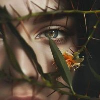 𝕾𝖊𝖉𝖆 (@_sd_58) 's Twitter Profile