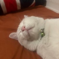 MooMax23 (@max23moo11387) 's Twitter Profile