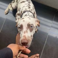 Mkhay21 (@mkhay21) 's Twitter Profile Photo