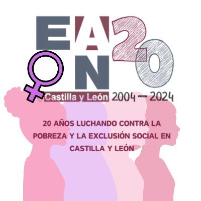 EAPN Castilla y León Profile