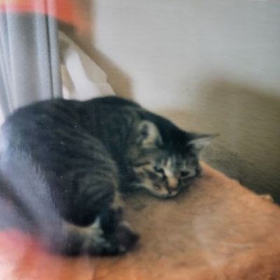 76Kumasio's profile picture. 認定心理士×保育士。宮城県出身→北海道→滋賀県(期間限定)ホツマ聖地巡礼中
龍神様🐉とご縁があるらしい。
LOVE→/猫/神社巡り⛩️/ホツマツタヱ/縄文/タロット&オラクル/占星術/天体/風景写真/アロマ/MUSIC※V系バンドが青春でした。永遠の本命→the GazettE/DaizyStripper