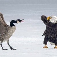 Adam Hickman (@ahickman2) 's Twitter Profile Photo