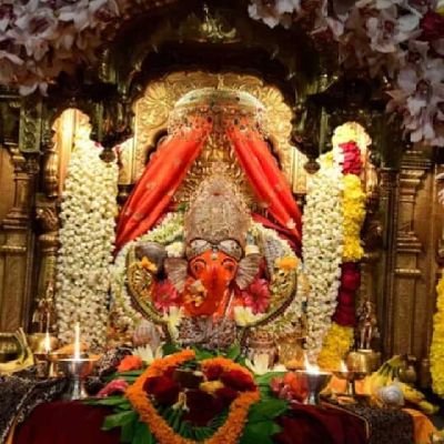 vivekraval41's profile picture. I am Professional in Web devlopment in WordPress