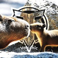 TLS Volcanic (@volcanicmgmt) 's Twitter Profile