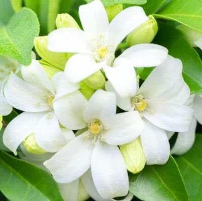 nanamedrum90dig's profile picture. 静かにのんびり眺めて癒しの時間にしています🍀