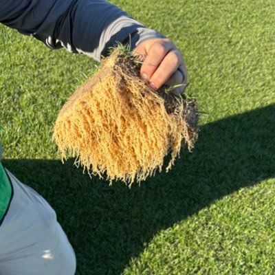 Tweets are 100% mine. Auburn University. @siteonesupply