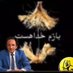 جسکوفیل (@2ewq3umdp984rw3) Twitter profile photo جسکوفیل (@2ewq3umdp984rw3) Twitter profile photo