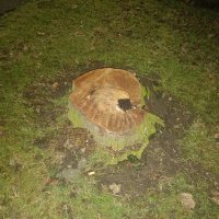 The hunter (@abductedtwice) 's Twitter Profile Photo