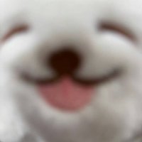 นอน่อน๊อ (@kiddyewhale) 's Twitter Profile Photo