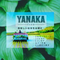 ただの農家の人(矢仲農園) (@yanaka_miruki_) 's Twitter Profile Photo ただの農家の人(矢仲農園) (@yanaka_miruki_) 's Twitter Profile Photo