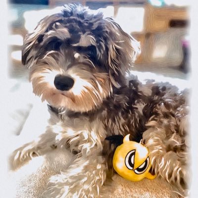 yuumi_1011622's profile picture. Lenny code fiction＊THE SIXTH LIE＊from TTK＊WATWING＊Reini