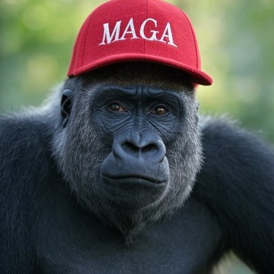 Harambe didn’t die. Enjoy peace deal maker next 4 years!(