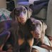 Lucifer The Doberman (@ldadoberman) Twitter profile photo Lucifer The Doberman (@ldadoberman) Twitter profile photo