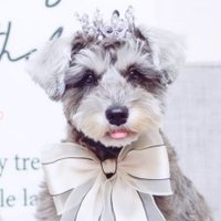 Mill_U._.U (@ch11_18) 's Twitter Profile