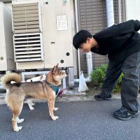 きょうたろう (@bboy_kyotaraw) 's Twitter Profile