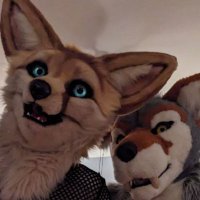 Safler_AD🔜LVFC/FWA (@saflerfox_ad) 's Twitter Profile