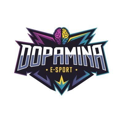 Time Brasileiro de Esports | #goDOPAMINA 💜