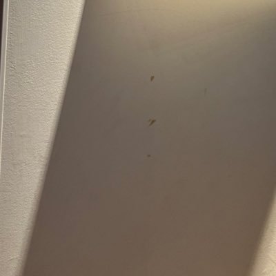 k1FRVmaYgJ27396's profile picture. 