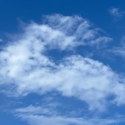 matsukomatsu031's profile picture. 🍏🐉をゆるっと応援するオタク かなり雑多に呟きます ✐ 2/28.3/1 SHIBAI