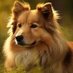 Puppy love (@puppylove_9) Twitter profile photo Puppy love (@puppylove_9) Twitter profile photo