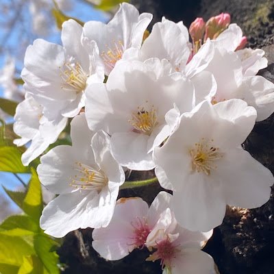 mi_70_n's profile picture. 