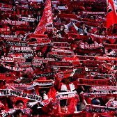 nOFE6AWPui36736's profile picture. #春から白鴎/法学部/🚹/浦和サポ