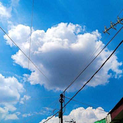 Nengok awan, lomba, ngoding, makan, tidur, and repeat.
