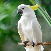 mann ki baatten (@mn0654) 's Twitter Profile
