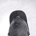 Herman (@hermancong_) Twitter profile photo Herman (@hermancong_) Twitter profile photo