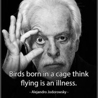 Eternal Optimist (@optimistsurgeon) 's Twitter Profile Photo