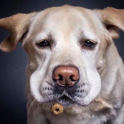 Castrosomulento's profile picture. no voy a pelear con nadie .... o eso intento