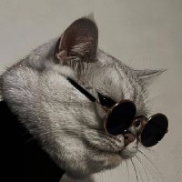 SharShar (@sharshar2324) 's Twitter Profile