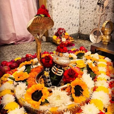 IMBABITASAINI's profile picture. EASY LIFESTYLE!! TRAVELLER!!