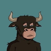 KasBullClub (@thekasbullclub) 's Twitter Profile Photo KasBullClub (@thekasbullclub) 's Twitter Profile Photo