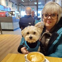 Dorothy (@dollie1952) 's Twitter Profile