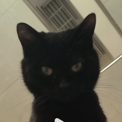 西部雨林さんのプロフィール画像