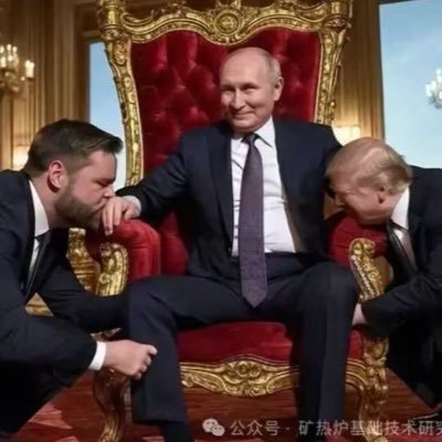 Saber43628397's profile picture. 活在当下