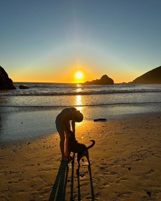 Brunild56481203's profile picture. 