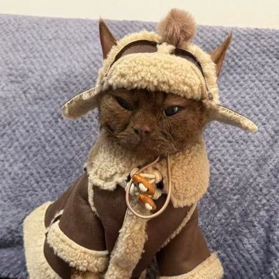 xusd320's profile picture. 