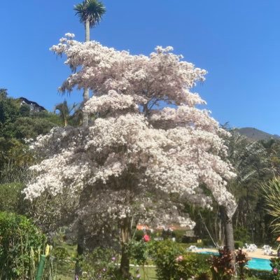 acgiese's profile picture. Mestre em física ITA/INPE, professor de TI aposentado, patriota, anti-facista.