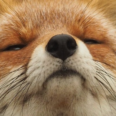 hazard356lunar's profile picture. Hello there