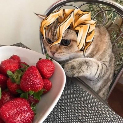 kvazipivo's profile picture. ,':)