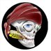 Mad Style NFTs (@madstylearts) Twitter profile photo Mad Style NFTs (@madstylearts) Twitter profile photo